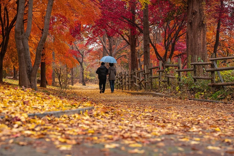Nature strolls