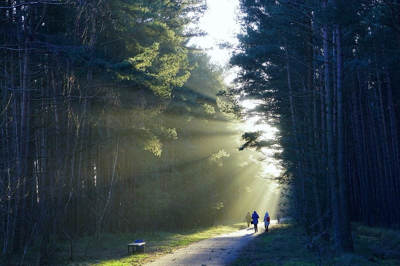 Nature Walk